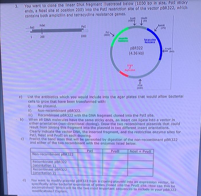 3.
You want to clone the linear DNA fragment Illustrated below (1000 bp In size, Psti sticky
ends, a Ndel site at position 20