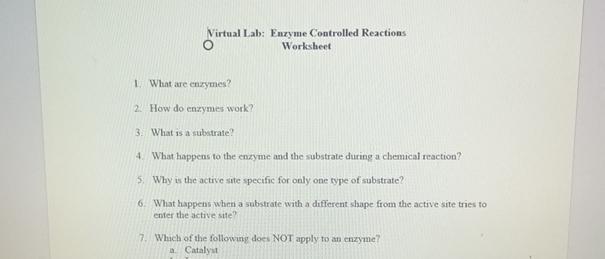 Solved Virtual Lab: Enxyme Controlled ReactionsWorksheetWhat | Chegg.com