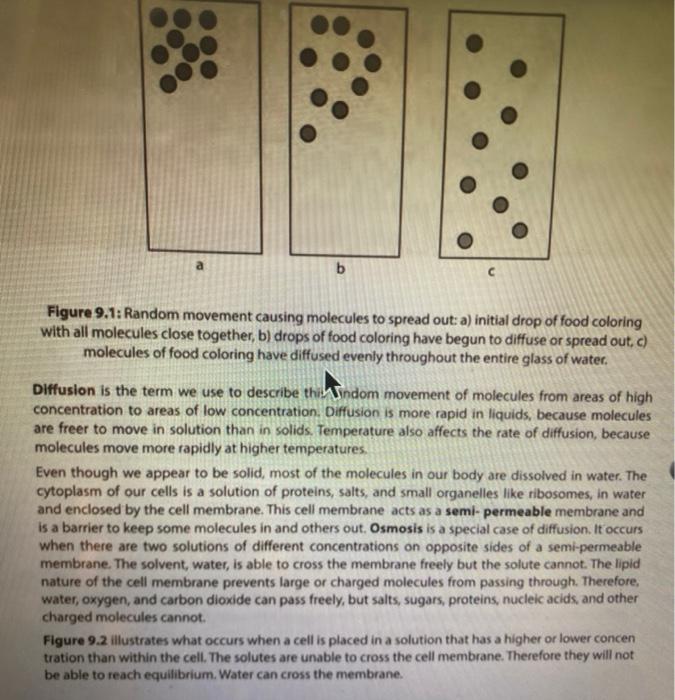 Solved EXERCISE 9 PASSIVE MOVEMENT OF MOLCULES IN BIOLOGICAL | Chegg.com
