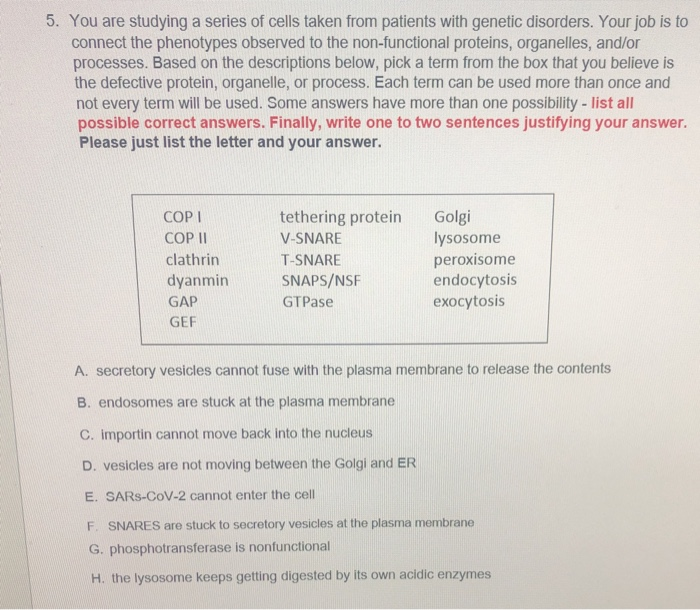 Solved 5 You Are Studying A Series Of Cells Taken From Chegg Com