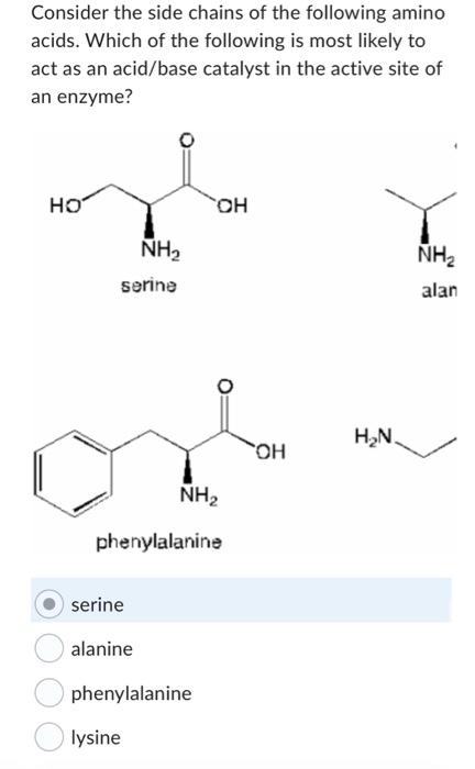 Solved Consider the side chains of the following amino | Chegg.com