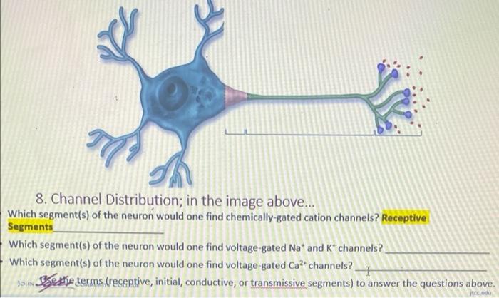 Solved al 8. Channel Distribution; in the image above... | Chegg.com
