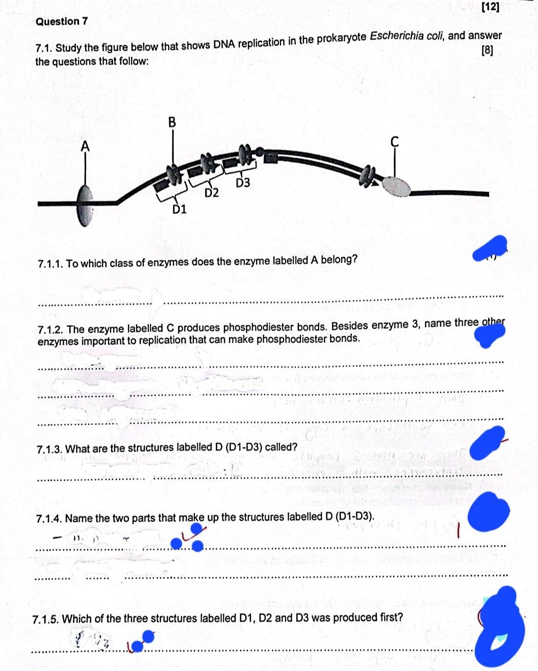 Solved Question 7 7.1. Study the figure below that shows DNA | Chegg.com