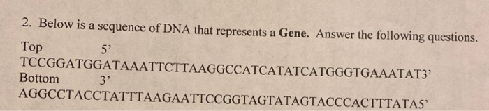 Solved 2. Below is a sequence of DNA that represents a Gene. | Chegg.com