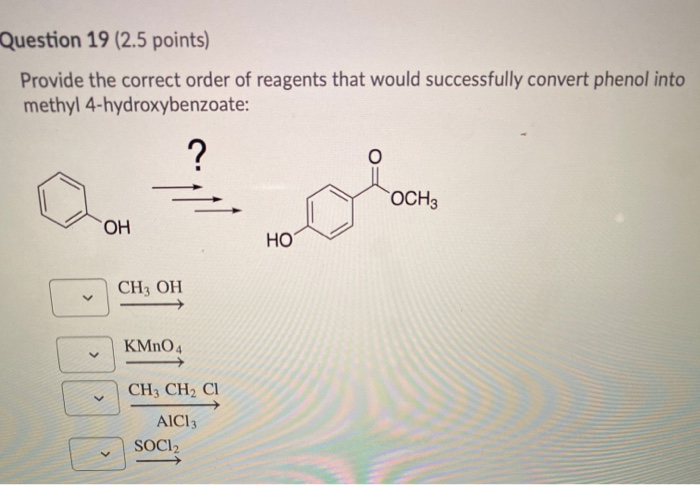 Solved Question 19 (2.5 points) Provide the correct order of | Chegg.com