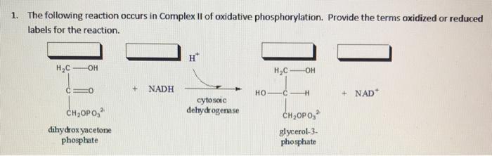 Solved 1. The following reaction occurs in Complex II of | Chegg.com