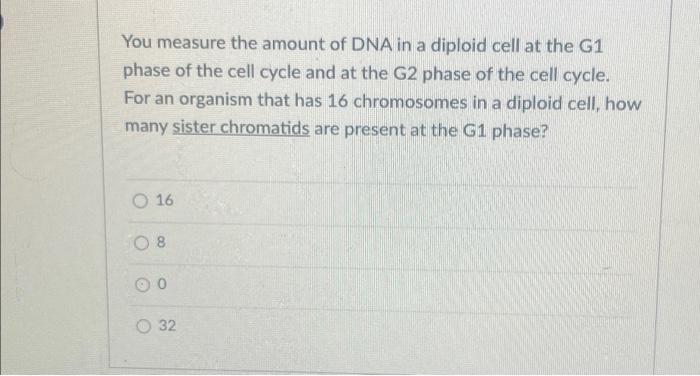 Solved You measure the amount of DNA in a diploid cell at | Chegg.com