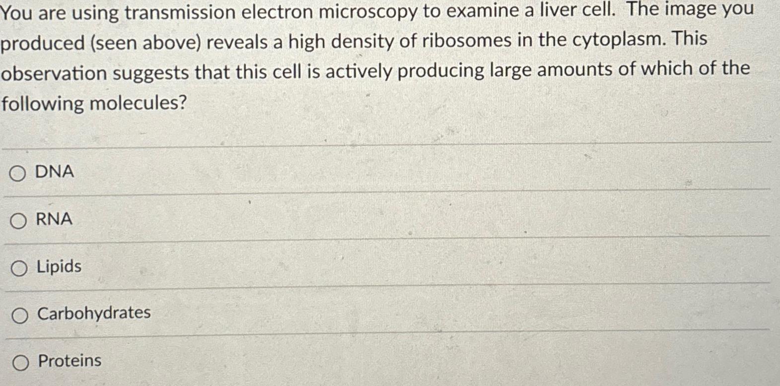 Solved You are using transmission electron microscopy to | Chegg.com