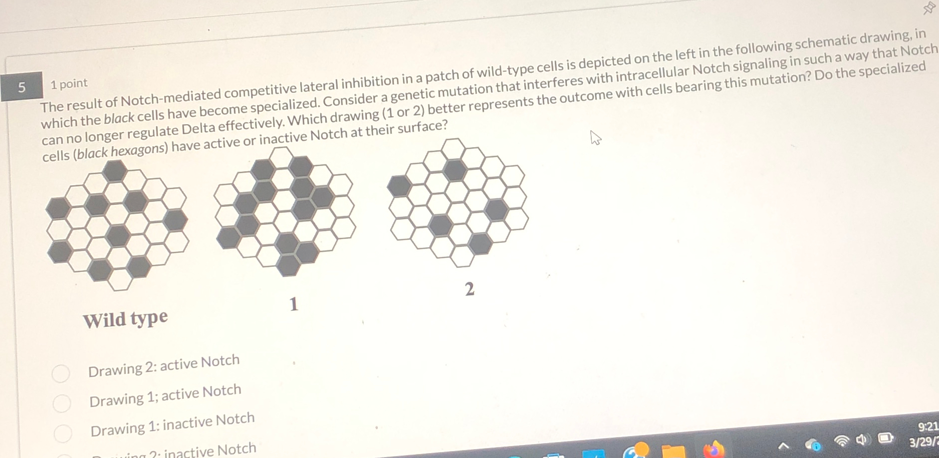 Solved 5The result of Notch-mediated competitive lateral | Chegg.com