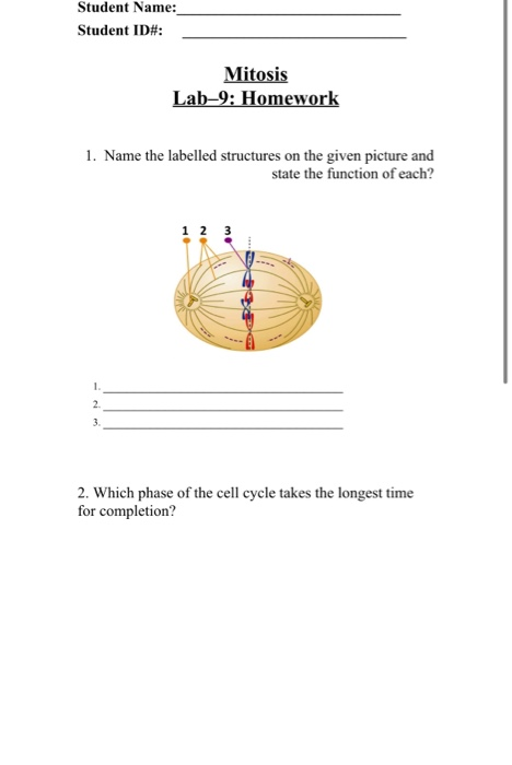 Solved Student Name: Student ID#: Mitosis Lab–9: Homework 1. | Chegg.com