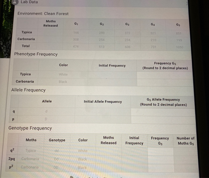 Solved Lab Data Environment Clean Forest Moths Released G1
