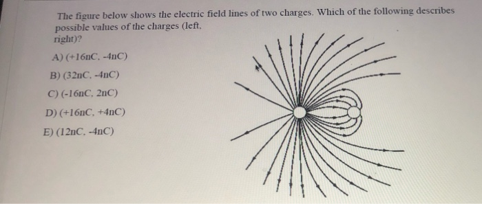 Solved The Figure Below Shows The Electric Field Lines Of | Chegg.com