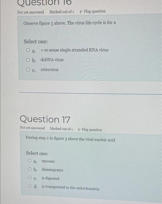 Solved Flag question Table 1 1-Arthroconidium 4-Conidium | Chegg.com