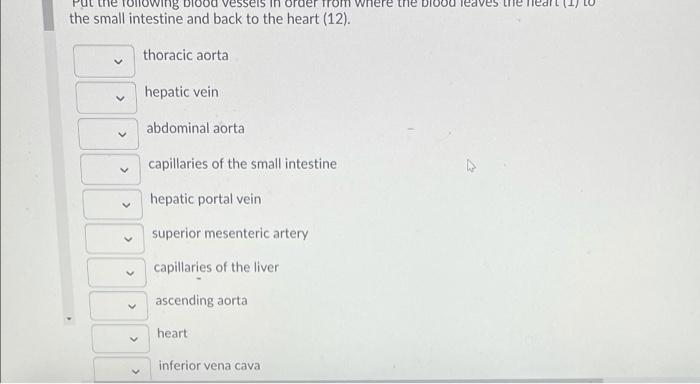 Solved Sequence The Following Adaptive Immune Response. B | Chegg.com