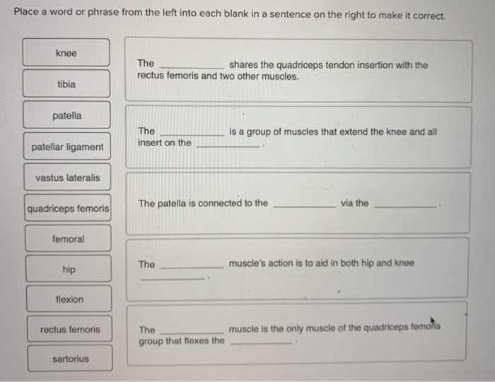 Solved Place a word or phrase from the left into each blank