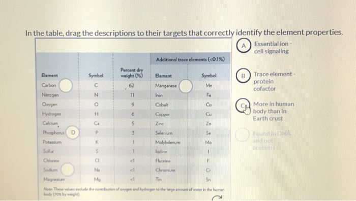 Solved Drag The Elements From The List Of Main Group – NRFGY