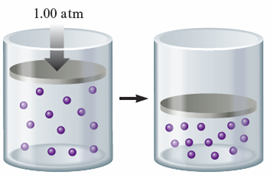 Solved: You have a gas in a container fitted with a piston and you ...