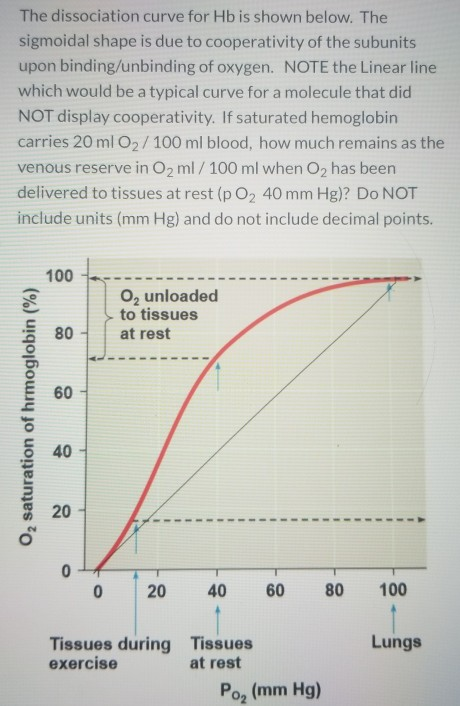 Solved The shape of the O2 hemoglobin dissociation curve can