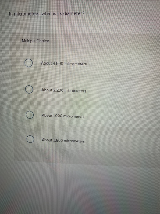 In micrometers, what is its diameter? Multiple Choice