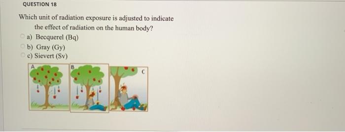 Solved Question 18 Which Unit Of Radiation Exposure Is Chegg Com