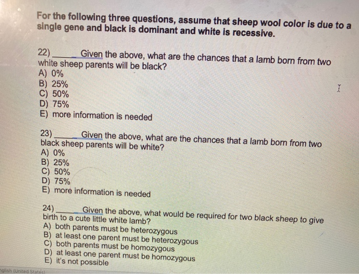 Help with Lamb's Wool Questions?