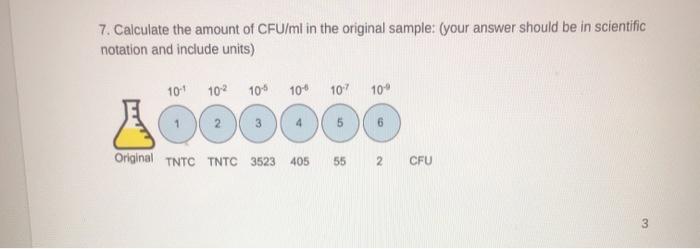 Solved 7. Calculate the amount of CFU/ml in the original | Chegg.com