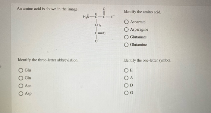 Solved An amino acid is shown in the image. Identify the | Chegg.com