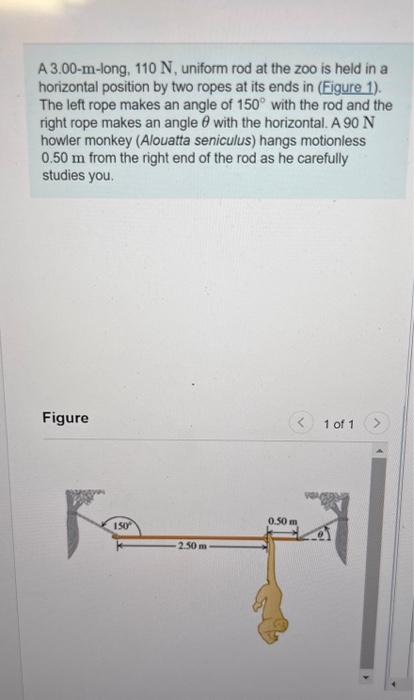 Solved A 3.00-m-long, 110 N, uniform rod at the zoo is held | Chegg.com
