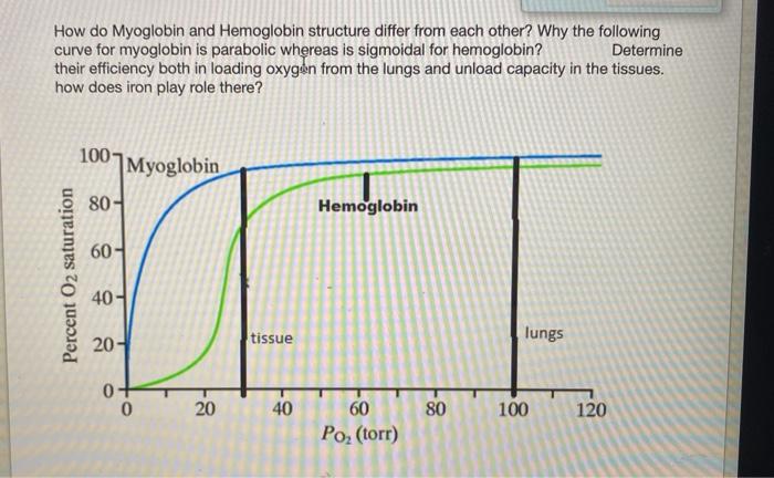 Solved How Do Myoglobin And Hemoglobin Structure Differ From | Chegg.com