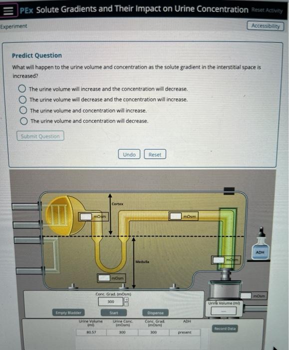 Solved E PEx Solute Gradients and Their Impact on Urine | Chegg.com