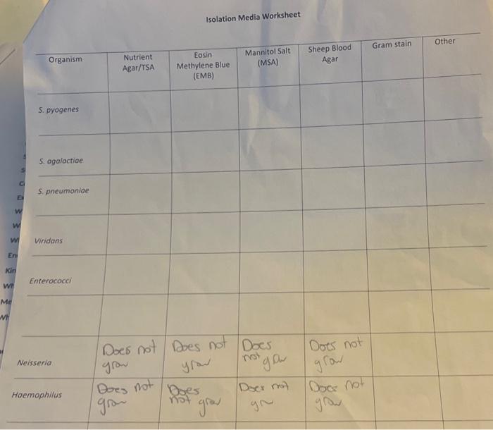 Solved Isolation Media Worksheet 