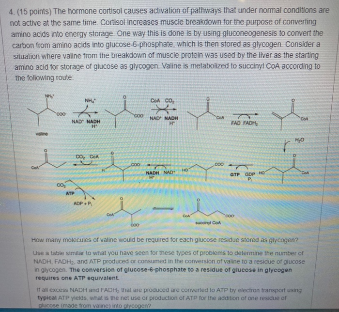 Solved 4.(15 points) The hormone cortisol causes activation | Chegg.com