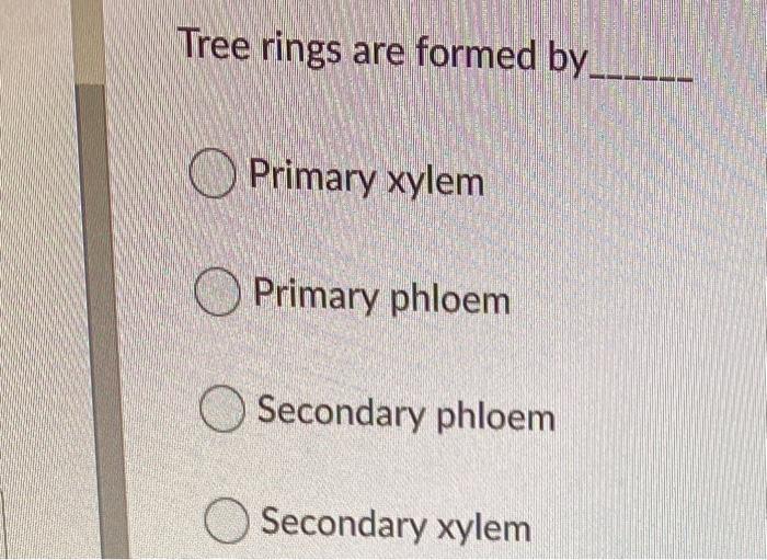 Solved Tree rings are formed by Primary xylem Primary phloem