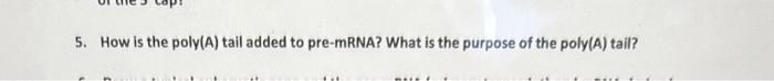 Solved 5. How is the poly(A) tail added to pre-mRNA? What is | Chegg.com