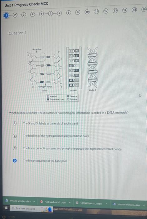 Solved Question 1 Which feature of model 1 best illustrates | Chegg.com