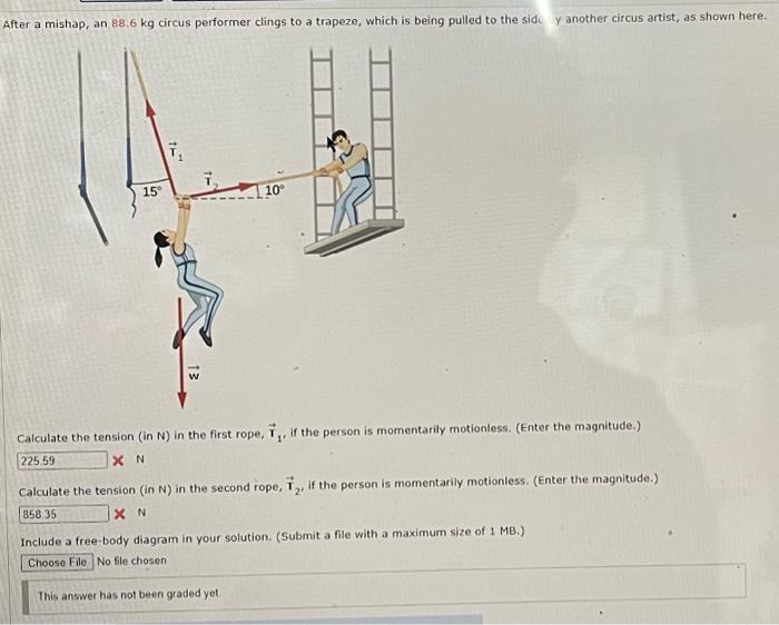 Solved After a mishap, an 88.6 kg circus performer clings to | Chegg.com