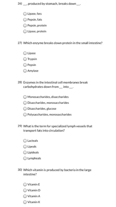 Solved 26) __, produced by stomach, breaks down __ Lipase, | Chegg.com