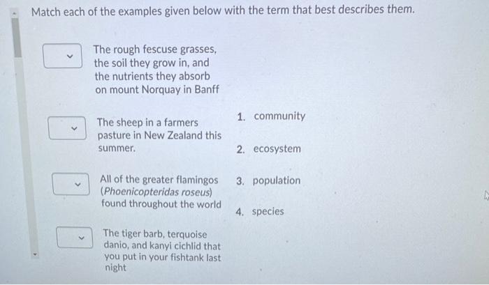 Solved Match each of the examples given below with the term | Chegg.com