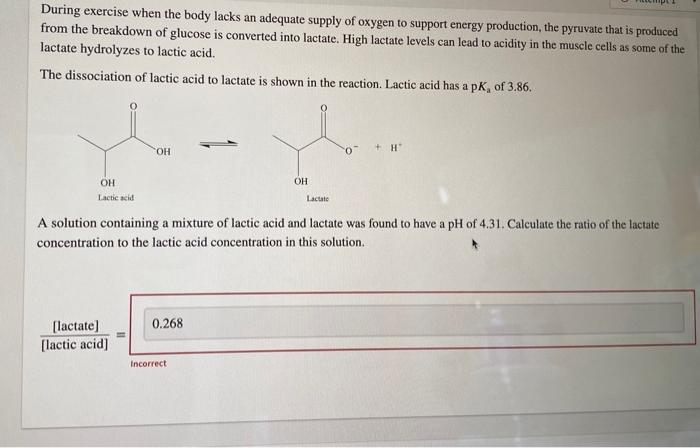During exercise when the body lacks an adequate supply of oxygen to support energy production, the pyruvate that is produced 