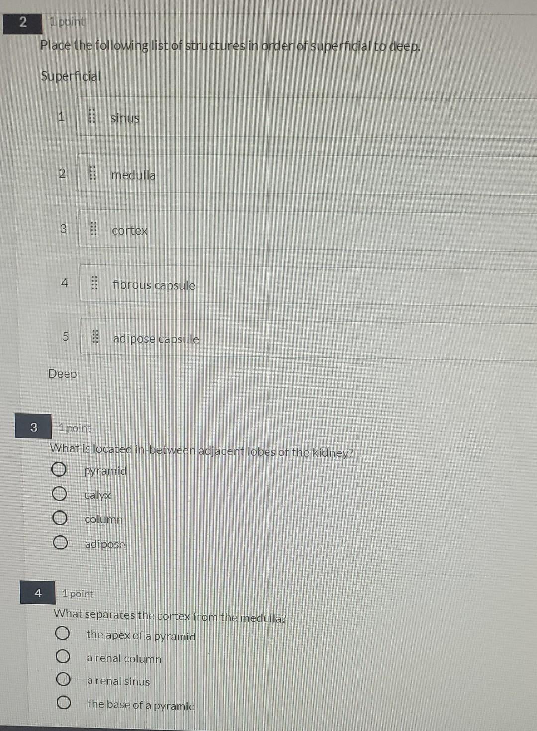 Solved N 1 point Place the following list of structures in | Chegg.com