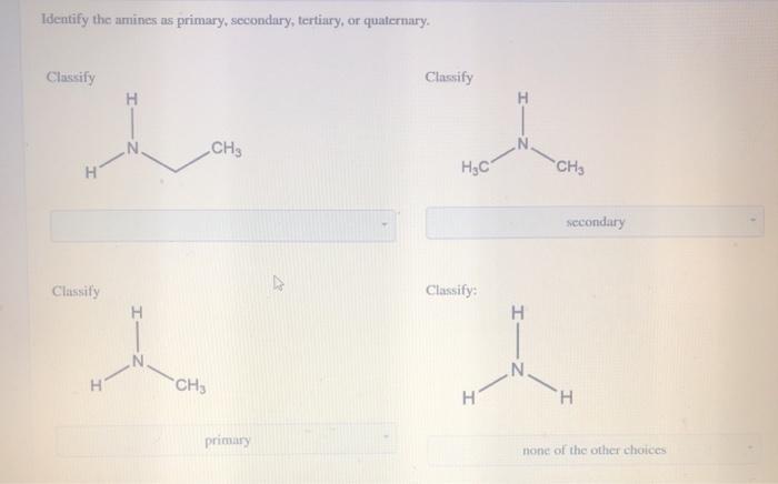 primary secondary tertiary amine