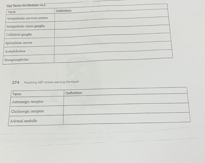 Solved Roy Terms For Module 14 2 Term Definition Sympathetic Chegg