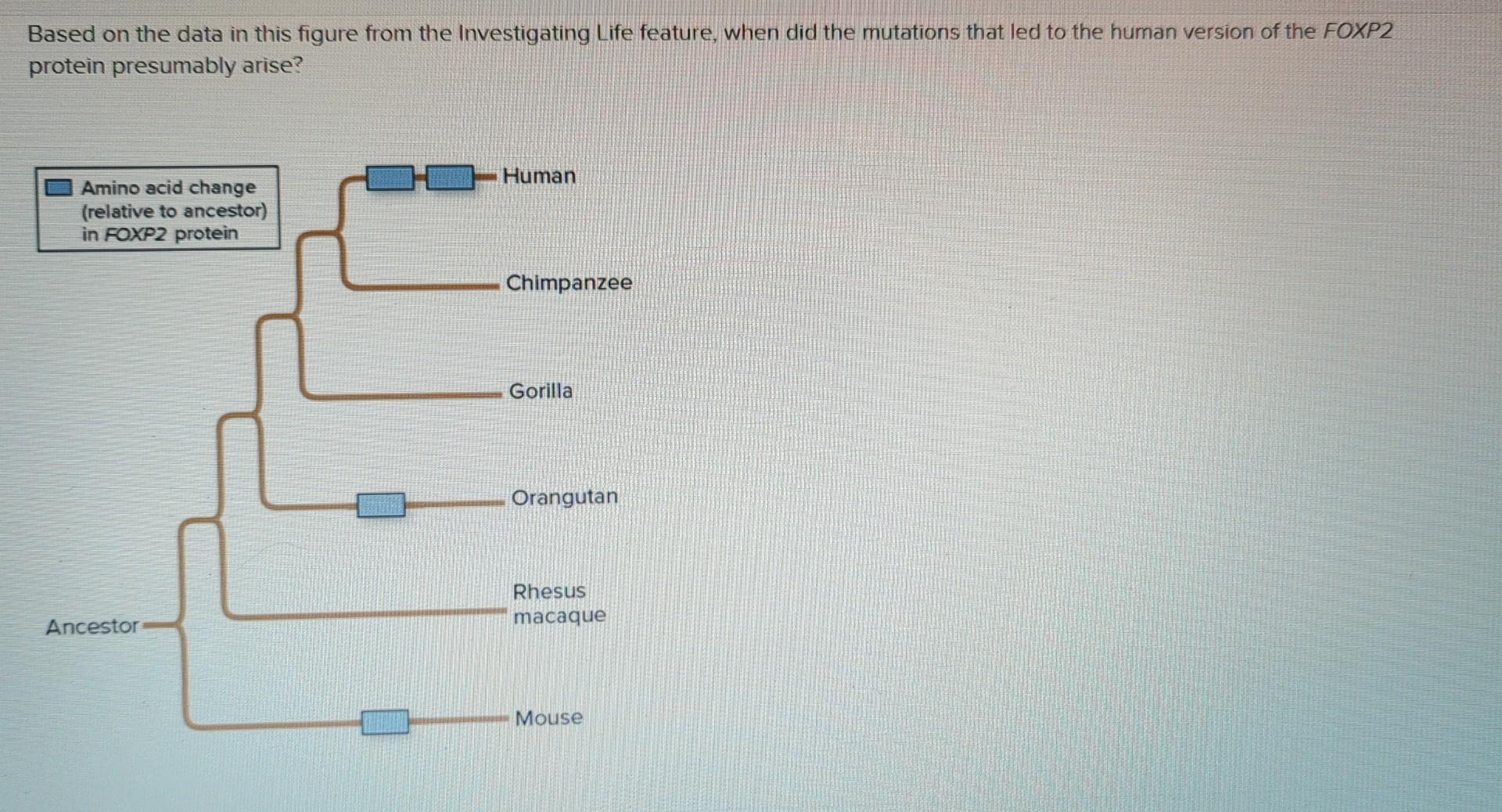 [Solved]: I need help with this one please