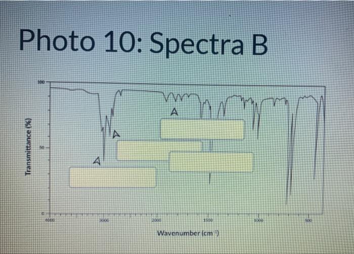 Solved Photo 10: Spectra B | Chegg.com