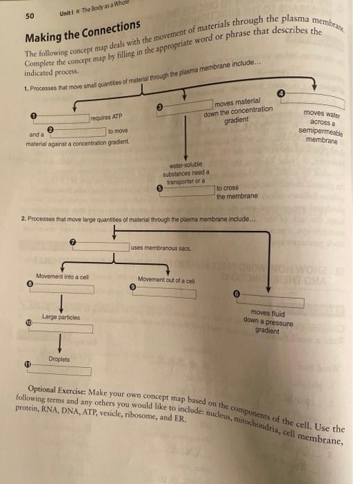 Solved 50 Unit The Body as a Who Making the Connections The | Chegg.com