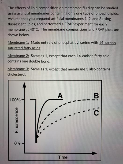 Solved The effects of lipid composition on membrane fluidity | Chegg.com