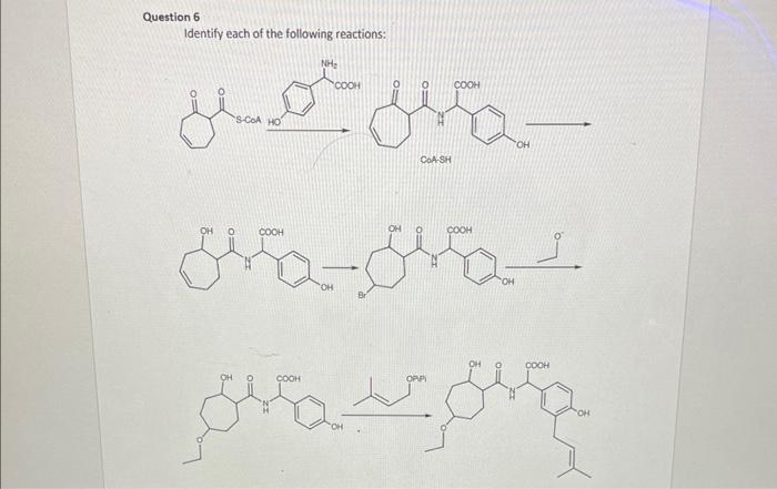 Solved Question 6 Identify each of the following reactions: | Chegg.com