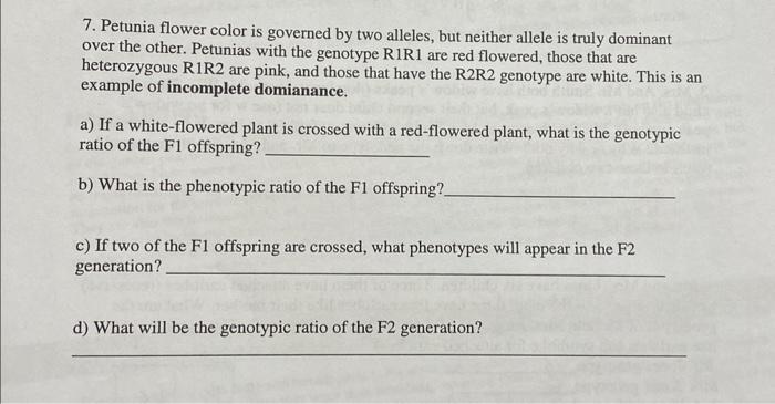 Solved 7. Petunia Flower Color Is Governed By Two Alleles, | Chegg.com