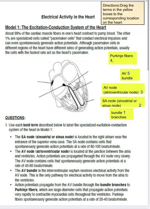 Solved Directions:Drag the terms in the yellow boxes to the | Chegg.com