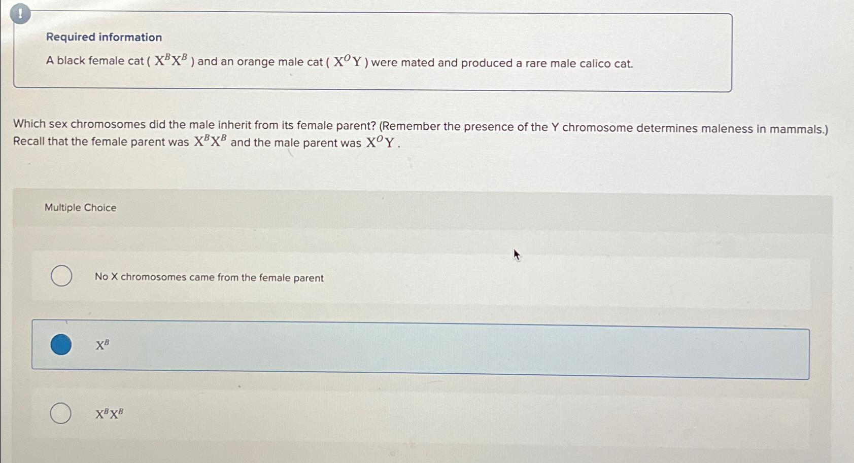 Solved !Required informationA black female cat (xBxB) ﻿and | Chegg.com